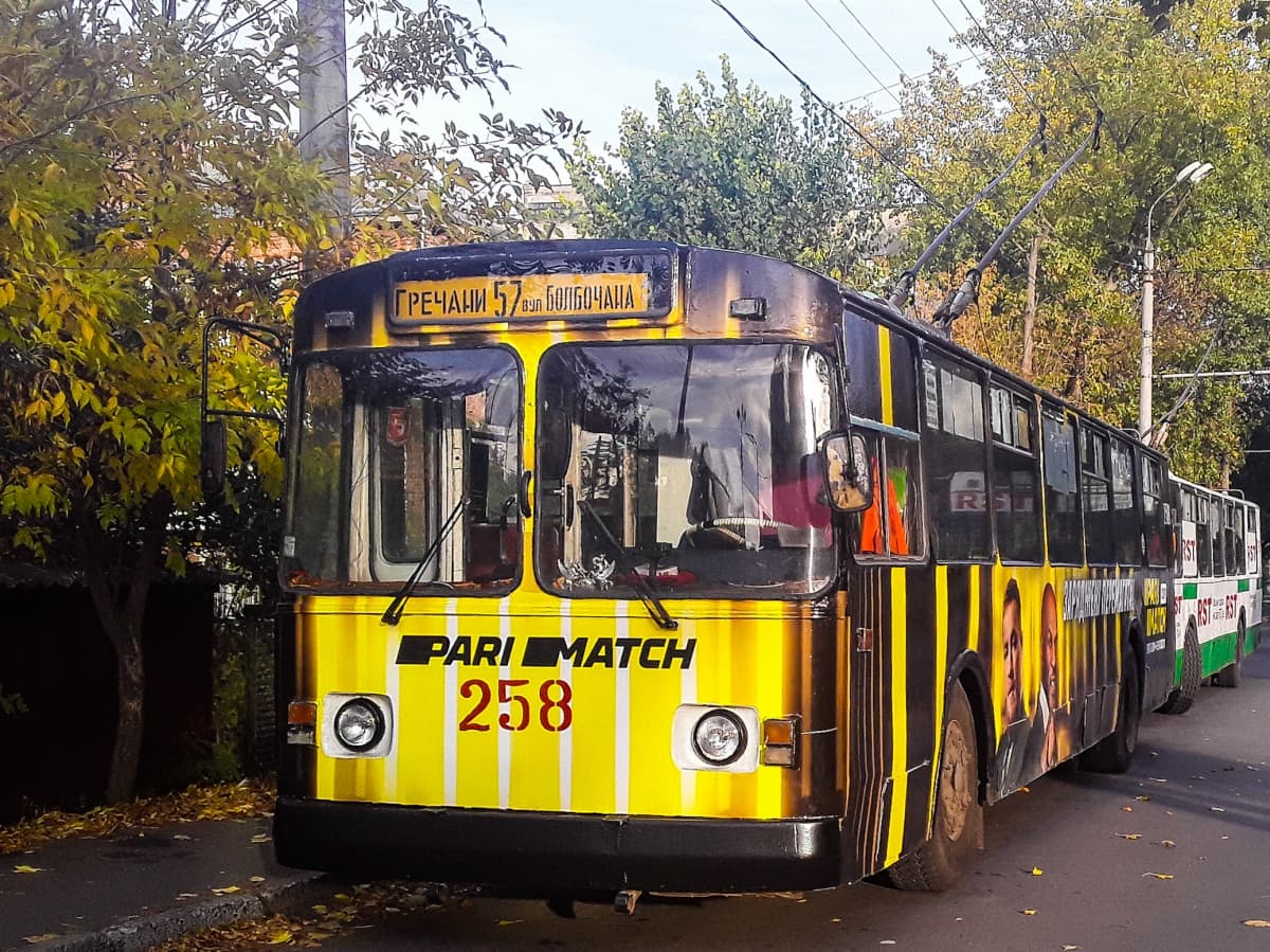 Гречани — вул. Болбочана - фото 2