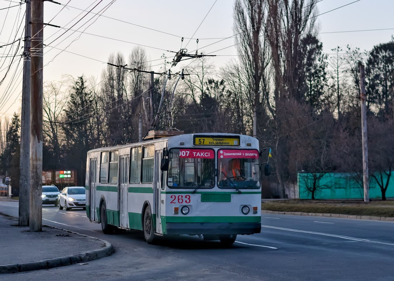 Гречани — вул. Болбочана - фото 1